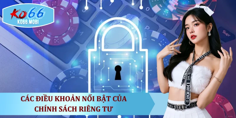 cac-dieu-khoan-noi-bat-cua-chinh-sach-rieng-tu
