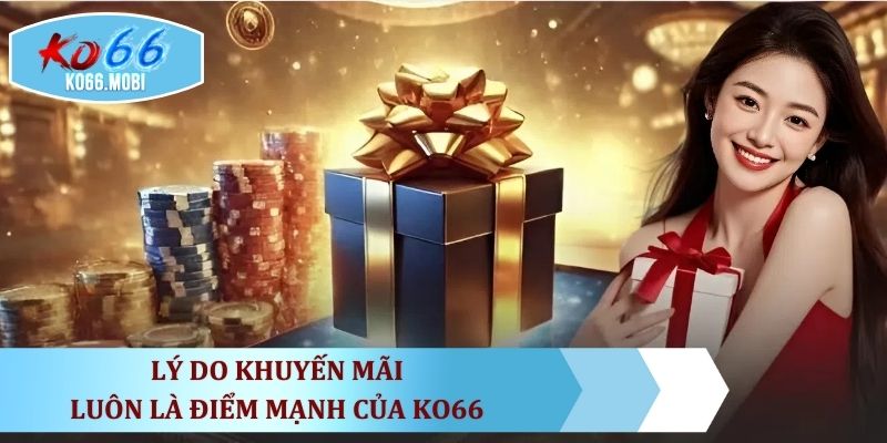 ly-do-vi-sao-nhieu-hoi-vien-chon-ko66-moi-ngay