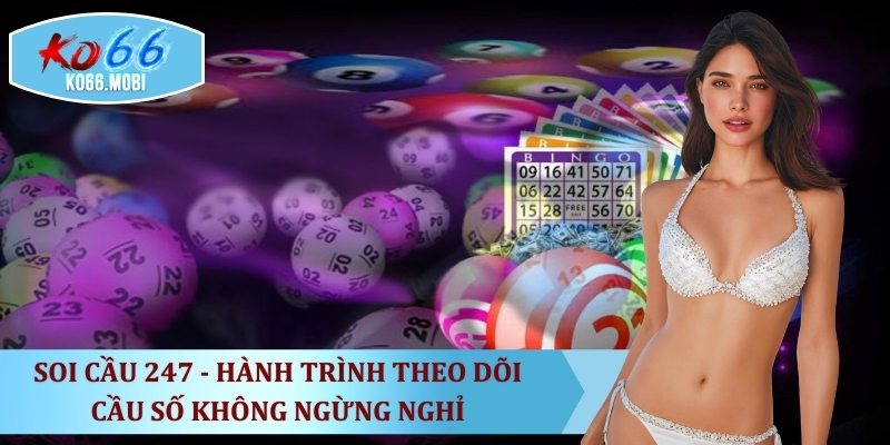 soi-cau-247